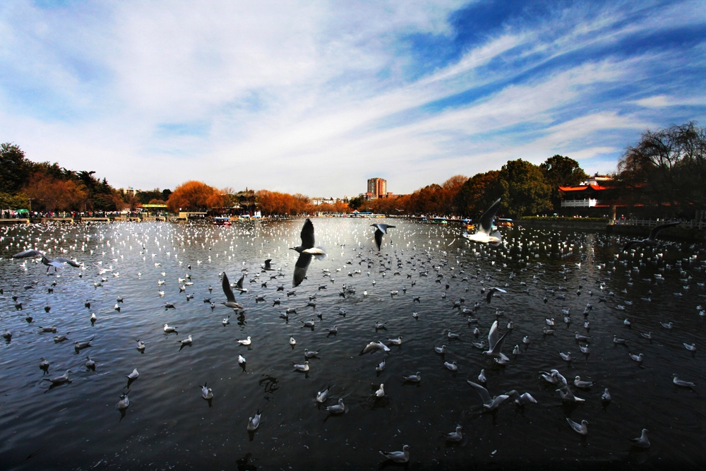 Keindahan Kota Kunming